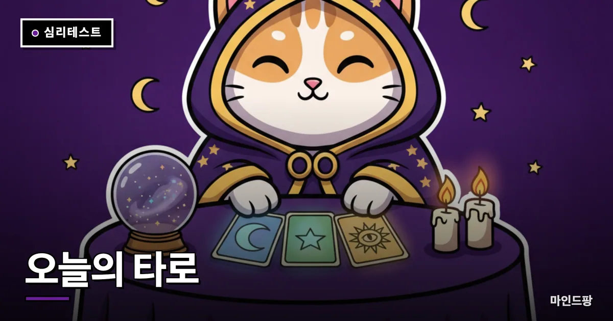 오늘의 타로 3장 뽑기